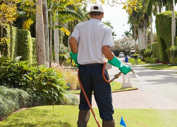 About Thoreau NM Pest Control